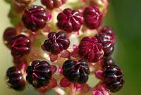 002_2017-08-23 17-19-48