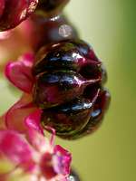 003_2017-08-23 17-21-09