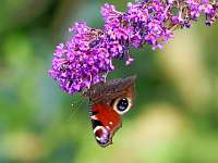 005_2017-08-23 17-04-29