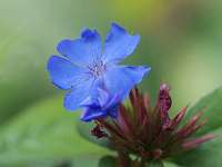 006_2017-08-23 17-27-04