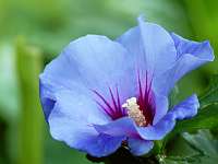 007_2017-08-23 17-12-21