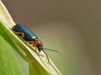 010_2017-09-21 16-43-59