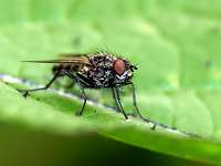 011_2017-09-21 17-21-34