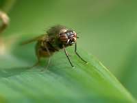 012_2017-09-21 16-40-47