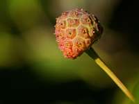 013_2017-09-21 16-18-47