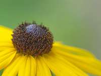 015_2017-08-23 16-54-01