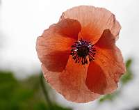 004_2017-06-15 15-47-23