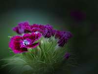 008_2017-06-19 09-52-43