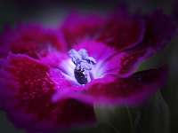 009_2017-06-19 09-54-29