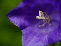 017_2017-06-15 15-54-54