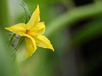 029_2017-06-15 16-58-44