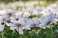 003_ 2018-04-18 08-56-50_Stack