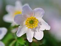 006_ 2018-04-17 09-58-37