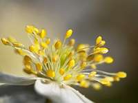 009_ 2018-04-17 10-11-54