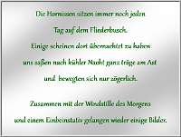 001_Hinweistext für  Webalbum