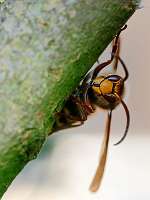 003_2018-10-06 09-41-34 (589)