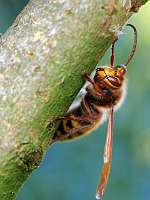 004_2018-10-06 09-41-44 (591)