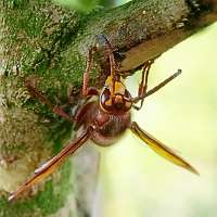 007_2018-10-06 09-46-48 (617)