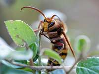 009_2018-10-06 09-56-28 (651)