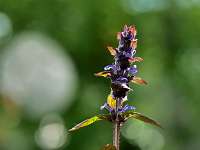 001_2019-05-04 15-55-14 (22)_Stack30