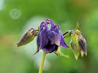 002_2019-05-04 16-32-12 (730)_Stack40