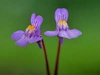 004_2019-05-04 17-10-04 (1549)_Stack40