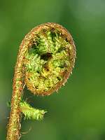 006_2019-04-29 18-26-26 (2510)_Stack40