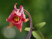 011_2019-04-29 17-55-50 (1745)_Stack60