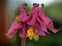 013_2019-05-04 16-38-28 (893)_Stack40