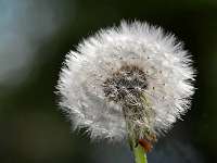 015_2019-04-29 15-38-20 (202)_Stack60