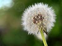 016_2019-04-29 17-17-58 (385)_Stack60