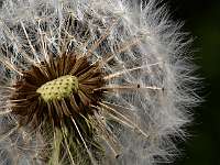 017_2019-04-29 17-23-36 (598)_Stack60