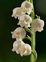 021_2019-04-29 18-10-52 (2132)_Stack40