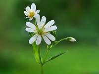 022_2019-05-04 16-48-58 (976)_Stack40