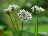 024_2019-05-04 16-57-00 (1190)_Stack40