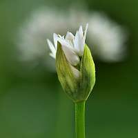 025_2019-05-04 17-02-14 (1354)_Stack40