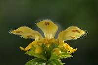 030_2019-04-29 18-01-34 (1877)_Stack60