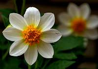 001_2019-08-13 17-07-05 (126)