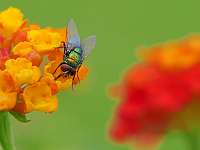 003_2019-08-13 17-14-40 (112)