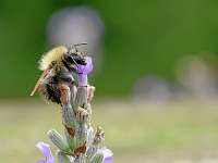 004_2019-08-13 14-44-06 (15)