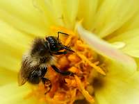 005_2019-08-13 16-59-51 (135)