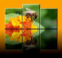 006_2019-08-13 17-24-37 (4)_Bildstreifen