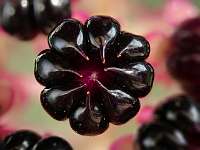 008_2019-08-18 17-50-42 (0063)_Stack40