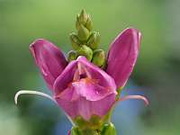 010_2019-08-18 17-58-16 (0196)_Stack50