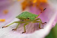 012_2019-08-18 18-05-50 (0492)_Stack60