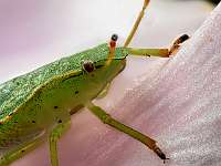 014_2019-08-18 18-11-42 (0757)_Stack70