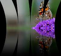 017_2019-07-28 10-47-45_Bildstreifen