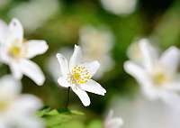 006_2019-04-15 15-43-54 (49)