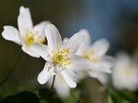 007_2019-04-15 15-46-04 (51)