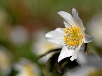 010_2019-04-12 15-41-54 (14)